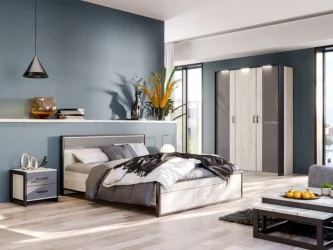 Шкаф двухстворчатый с комбинированными дверями и паспарту Техно 04 Дуб Крафт белый Серый шифер