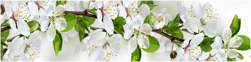 Глянцевый фартук (МДФ) АГ 05 / AG