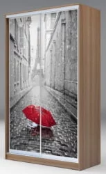 Шкаф-купе с фотопечатью Хит-24-12-77 Париж Ясень шимо темный