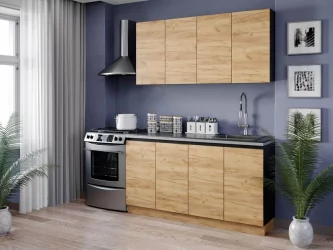 Тумба кухонная 450 Шервуд ЛД 281.030.000.003 Черная Дуб золотой