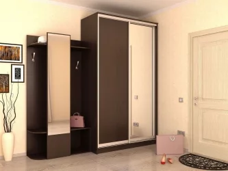 Шкаф-купе Хит-24-17-15 Аруба Венге