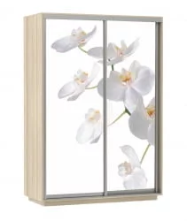 Шкаф-купе двухдверный Экспресс Дуо 1600х2400h Белая орхидея/Ясень шимо светлый