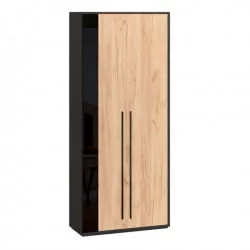 Шкаф двухстворчатый Неаполь ЛД 134.050.000 Черный Дуб Золотой