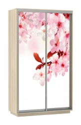 Шкаф-купе со стеклом Экспресс Хит Сакура/Шимо светлый