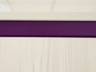 Детский шкаф для одежды Мегаполис 55.01.1 Сосна Астрид