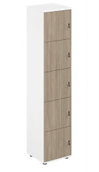 Локер 5 ячеек Сигма СГ.818.ВХ.ОД Белый Дуб темный / Sigma SG.818.WH.OD