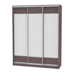 Детский шкафы-купе B-220х180х60-2(ЯАТ-D8D8D8)