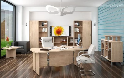 Кабинет руководителя БОРН набор 9 Бургунди