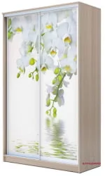 Шкаф-купе с фотопечатью Хит-23-14-77 Орхидея Ясень шимо светлый