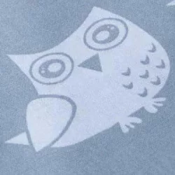 Комплект постельного белья детский белые совы на сером