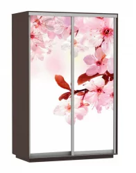 Шкаф-купе двухдверный Экспресс Дуо 1600х2400h Сакура/Венге