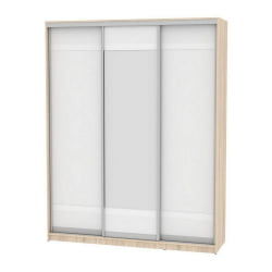 Шкаф-купе Б-220х180х60-2(ДСС-Белый-Д9Д10Д9) / B-220х180х60-2(ДСС-Белый-D9D10D9)