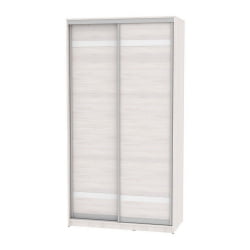 Шкаф-купе B-230х120х60-2(ЯАС-D9D9)