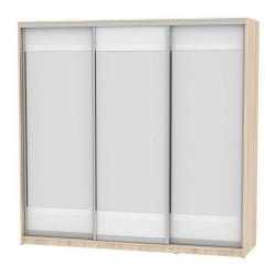 Шкаф-купе Б-220х235х60-2(ДСС-Белый-Д10Д10Д10) / B-220х235х60-2(ДСС-Белый-D10D10D10)