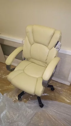 Кресло офисное BRABIX Eldorado EX-504 Бежевый_5