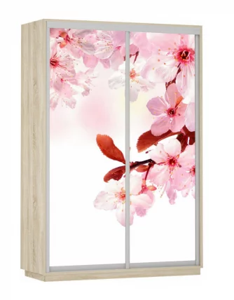 Шкаф-купе двухдверный Экспресс Дуо 1400х2400h Сакура/Дуб сонома_0