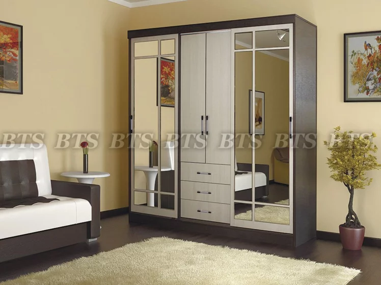 Шкаф купе Маэстро_4