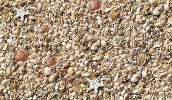 Стол обеденный Прямоугольный 900 600 фп Ракушки С002 ЛДСП серый_2