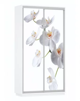 Шкаф-купе двухдверный Экспресс Дуо 1200х2400h Орхидея белая/Белый снег_0