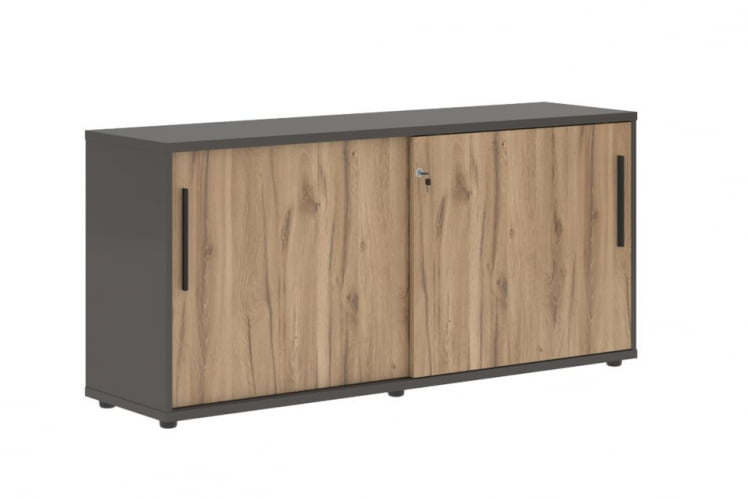 Шкаф с дверьми-купе ЕДИС ЕЛC 1643 Дуб Денвер светлый Черный Мокко / EDIS ELC_0