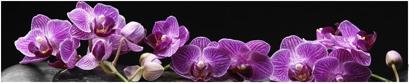 Глянцевый фартук (КОМПОЗИТ) KM 38_0