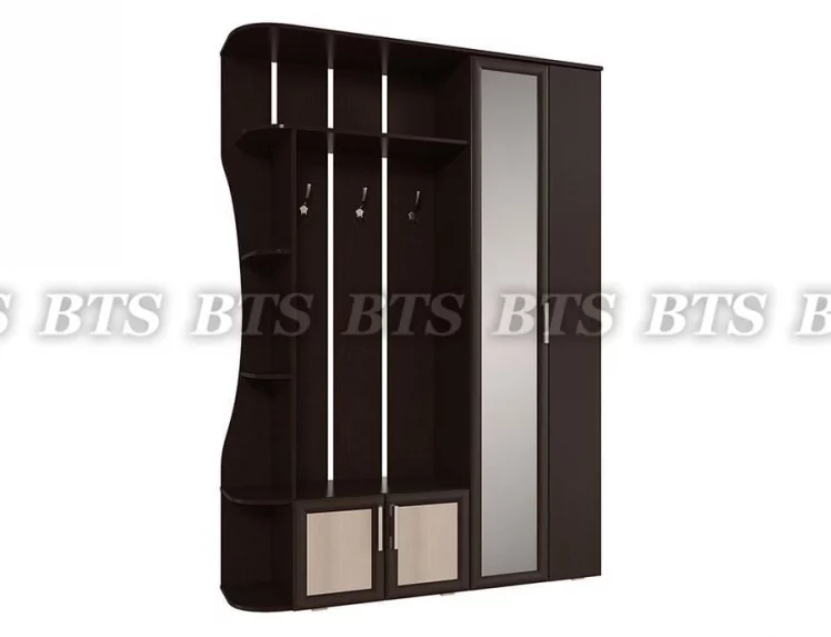 Прихожая Ксения-1_1