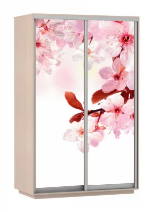 Шкаф-купе двухдверный Экспресс Дуо 1600х2400h Сакура/Дуб молочный_0