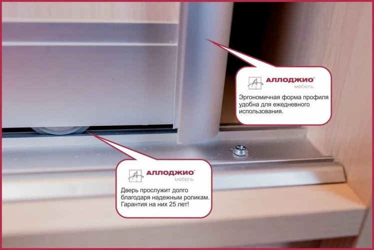 Шкаф-купе Хит-23-20-151 Аруба Венге_5