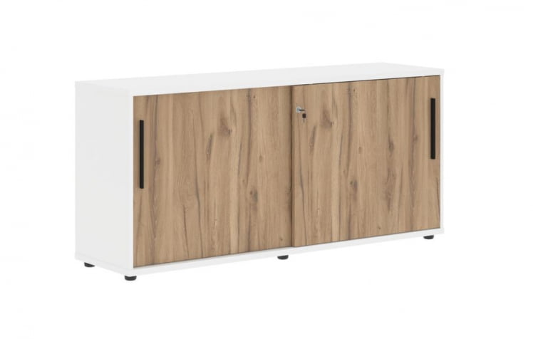 Шкаф с дверьми-купе ЕДИС ЕЛC 1643 Дуб Денвер светлый Черный Белый / EDIS ELC_0