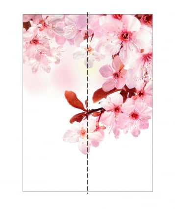 Шкаф-купе двухдверный Экспресс Дуо 1200х2400h Сакура/Ясень шимо тёмный_2