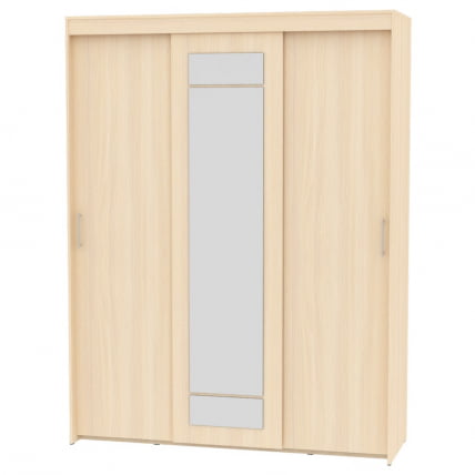 Шкаф-купе T-3-230х175х60-M(ДМ-10)_0