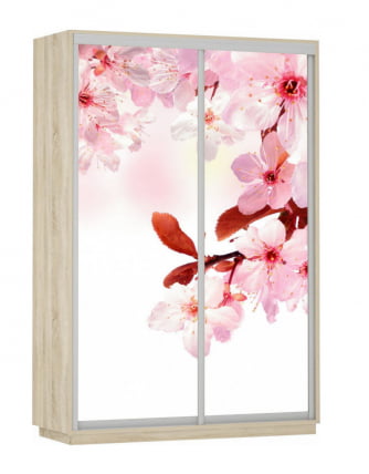 Шкаф-купе двухдверный Экспресс Дуо 1600х2200h Сакура/Дуб сонома_0