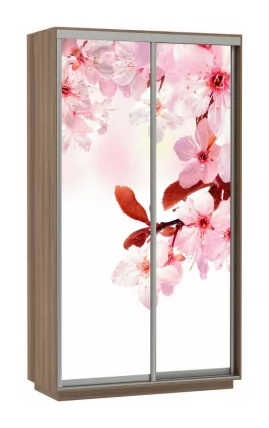 Шкаф-купе двухдверный Экспресс Хит Сакура/Шимо тёмный_0