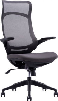 Кресло руководителя Everprof Spirit Сетка Черный_0