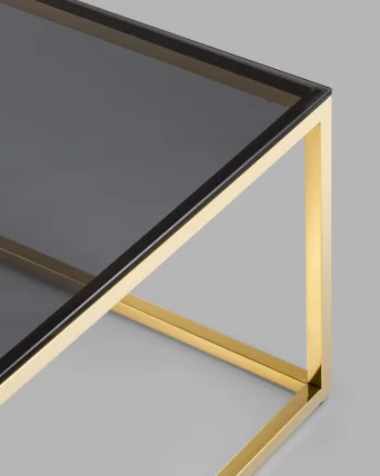 Журнальный стол ТАУН 120x60 Золото (стекло smoke)_5