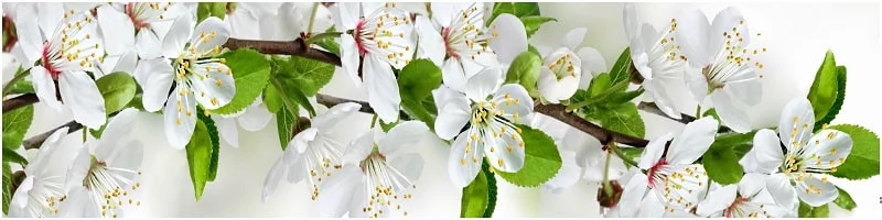 Глянцевый фартук (МДФ) АГ 05 / AG_0