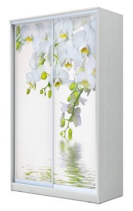 Шкаф-купе Хит-23-12-77 Орхидея Белая шагрень_0