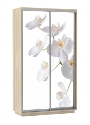 Шкаф-купе двухдверный Экспресс Дуо 1200х2400h Орхидея белая/Ясень шимо светлый_0