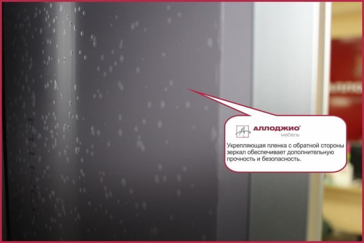 Шкаф-купе Хит-24-20-111 Бук бавария светлый_2