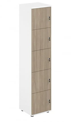 Локер 5 ячеек Сигма СГ.818.ВХ.ОД Белый Дуб темный / Sigma SG.818.WH.OD_0