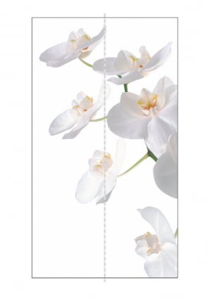 Шкаф-купе двухдверный Экспресс Дуо 1200х2200h Орхидея белая/Белый снег_1