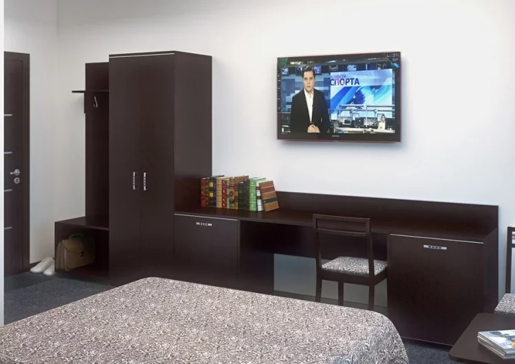 Шкаф-купе для одежды LIGHT С-ШКЗ-65 Венге Цаво_1