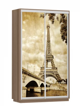 Шкаф-купе двухдверный Экспресс Дуо 1200х2200h Париж/Ясень шимо тёмный_0