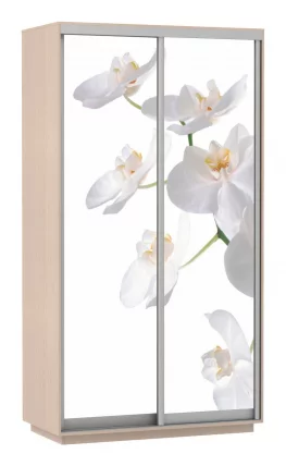 Шкаф-купе двухдверный Экспресс Дуо 1200х2400h Орхидея белая/Дуб молочный_0