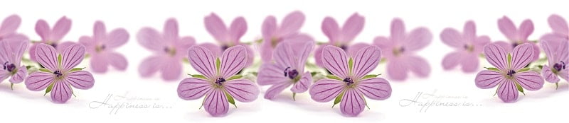 Глянцевый фартук (КОМПОЗИТ) KM 241_0