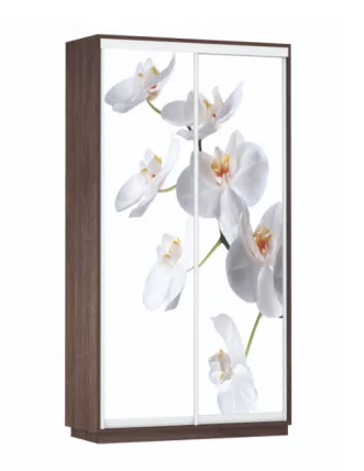 Шкаф-купе двухдверный Экспресс Дуо 1200х2400h Орхидея белая/Венге_0