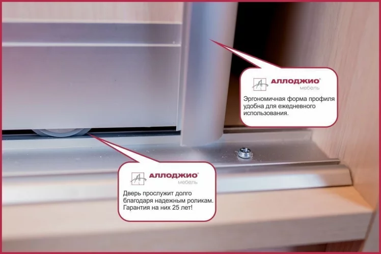 Шкаф-купе Хит-23-20-111 Аруба Венге_5