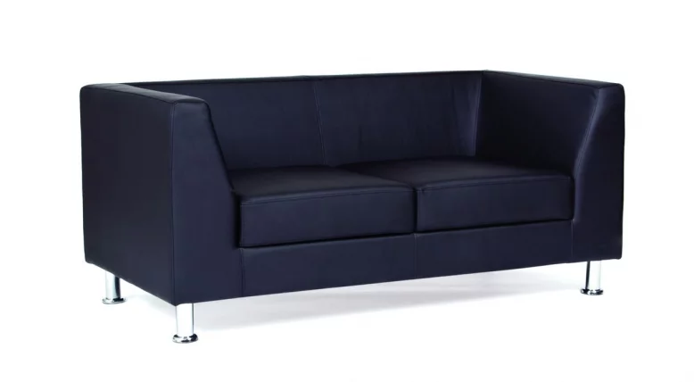 Диван двухместный ( Дерби) Terra 110_1