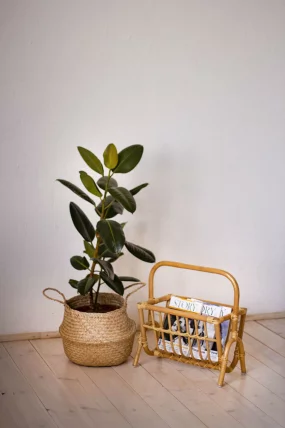 Газетница 17/13 миндаль матовый_1