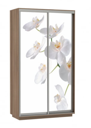Шкаф-купе двухдверный Экспресс Хит Орхидея белая/Ясень шимо темный_0